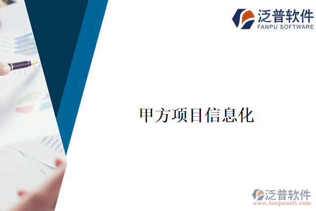 甲方項目信息化