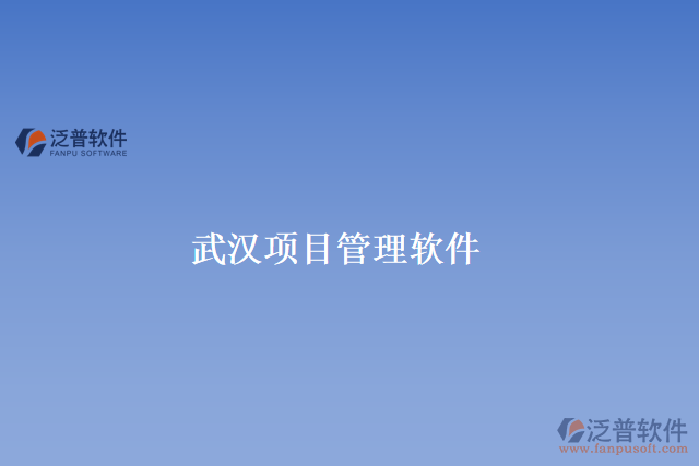 武漢項目管理軟件