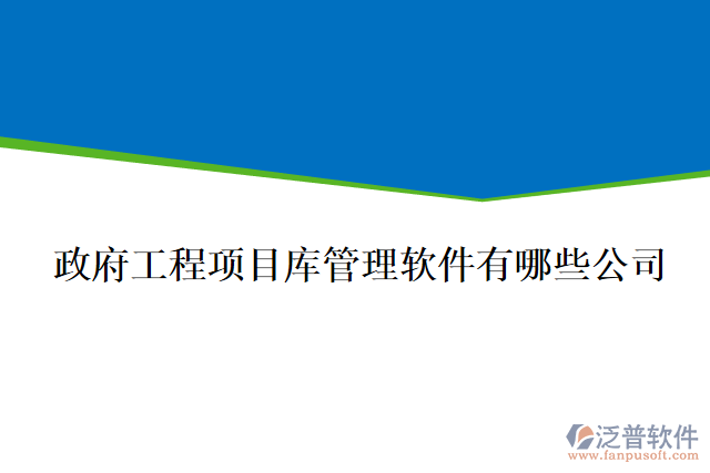 政府工程項(xiàng)目庫管理軟件有哪些公司