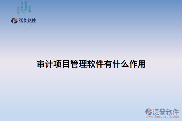 審計(jì)項(xiàng)目管理軟件有什么作用 