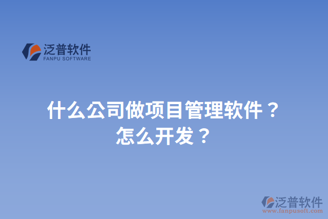 什么公司做項目管理軟件？怎么開發(fā)？