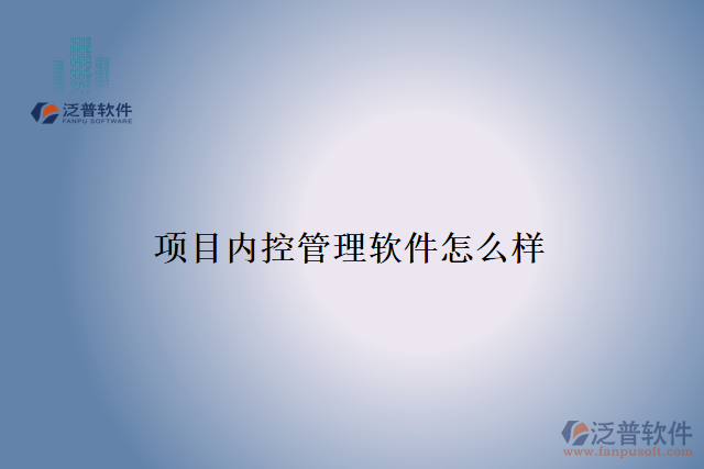 項目內控管理軟件怎么樣