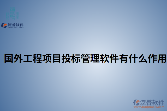 國外工程項(xiàng)目投標(biāo)管理軟件有什么作用