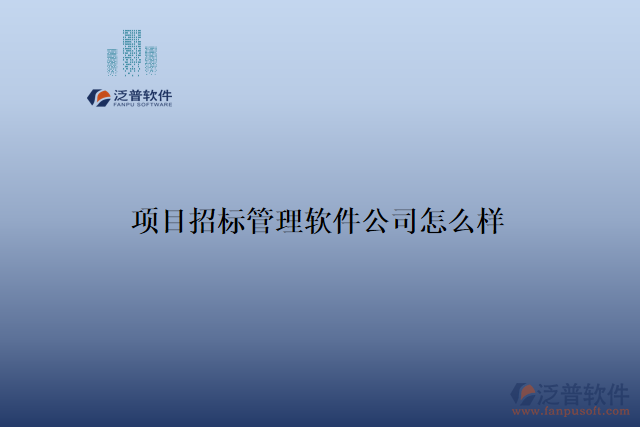 項(xiàng)目招標(biāo)管理軟件公司怎么樣