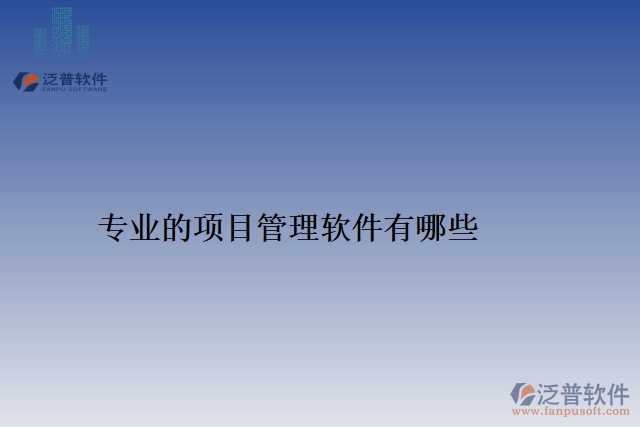 專業(yè)的項(xiàng)目管理軟件有哪些