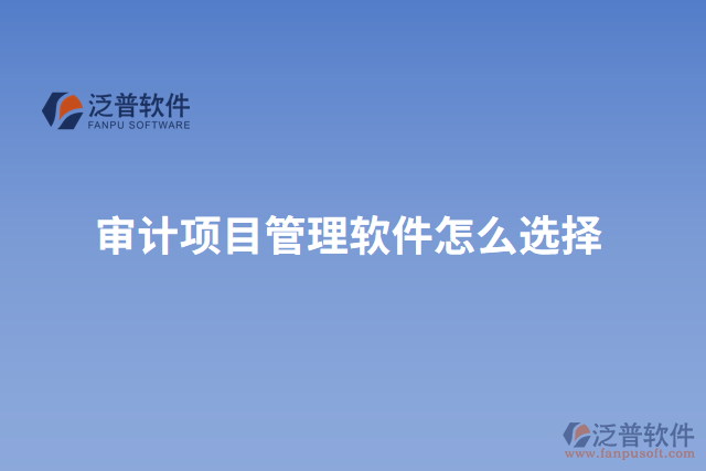審計(jì)項(xiàng)目管理軟件怎么選擇