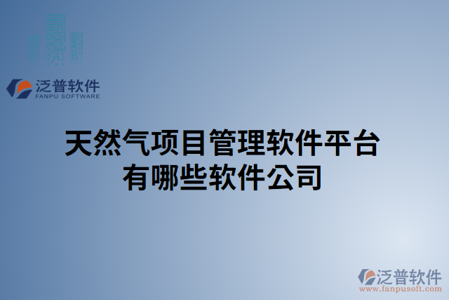 天然氣項(xiàng)目管理軟件平臺有哪些軟件公司