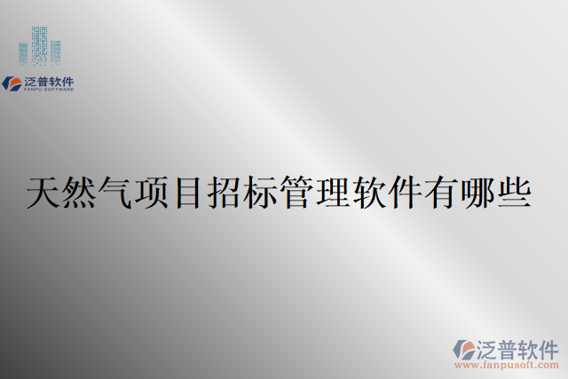 天然氣項目招標管理軟件有哪些