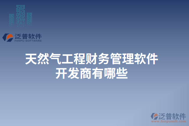天然氣工程財務管理軟件開發(fā)商有哪些