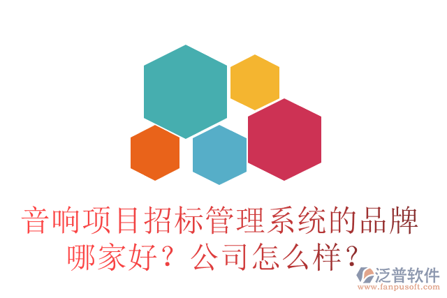 音響項(xiàng)目招標(biāo)管理系統(tǒng)的品牌哪家好？公司怎么樣？