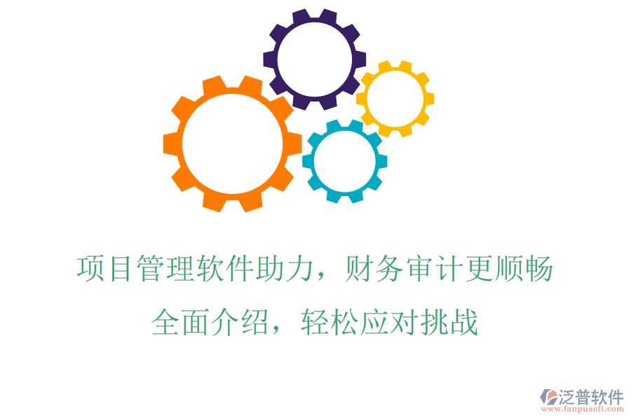 項目管理軟件助力，財務(wù)審計更順暢，全面介紹，輕松應(yīng)對挑戰(zhàn)