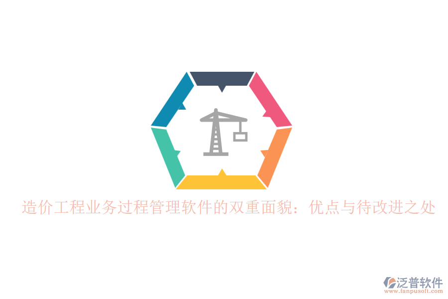 造價工程業(yè)務(wù)過程管理軟件的雙重面貌：優(yōu)點與待改進之處