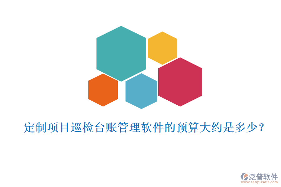 定制項目巡檢臺賬管理軟件的預(yù)算大約是多少？