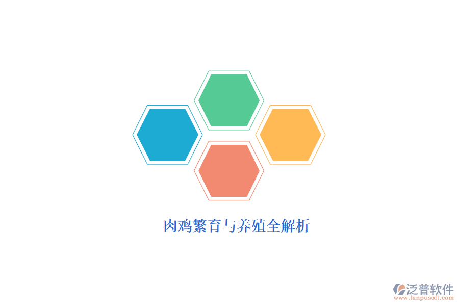 肉雞繁育與養(yǎng)殖全解析