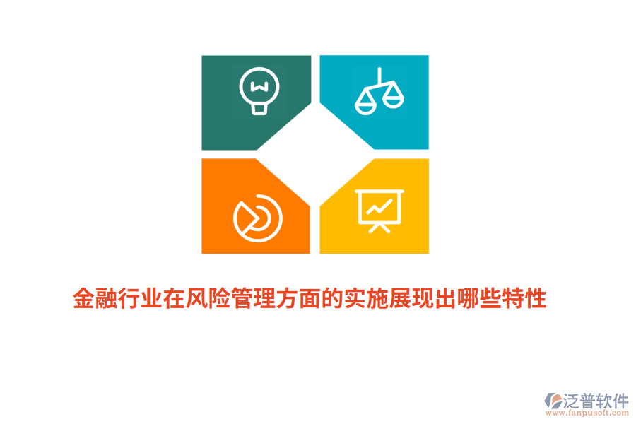 金融行業(yè)在風(fēng)險管理方面的實施展現(xiàn)出哪些特性？