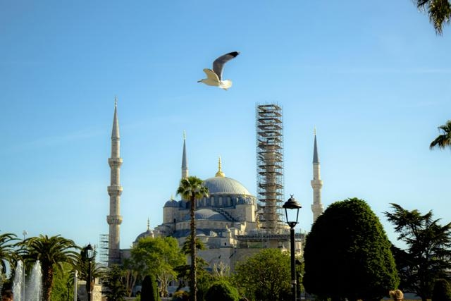 超市用移動終端庫存管理系統(tǒng)，操作卡頓咋優(yōu)化？