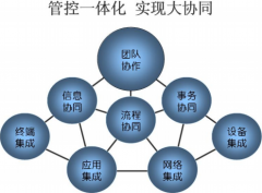 XX食品集團(tuán)協(xié)同運(yùn)營管理設(shè)計理念不規(guī)劃