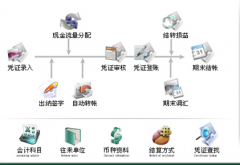 什么財務(wù)軟件、最適合兼職會計、代帳公司用啊？