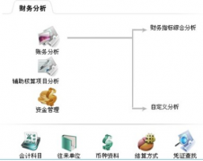 財務軟件免費版的優(yōu)缺點有哪些？