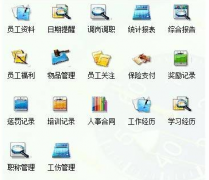 怎么選用人力資源管理軟件 ？