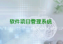 什么是項目管理軟件啊！在那里可以下載?。?>
            </a>
        </div>
        <h4 class=