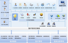 區(qū)域衛(wèi)生信息化是新醫(yī)改的必要條件！