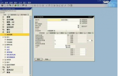在哪里能下載到SAP財(cái)務(wù)軟件呢？
