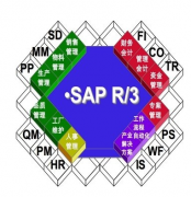 SAP是不是屬于財務(wù)軟件類？