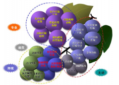 金和OA軟件好不好？有沒有人知道呢？