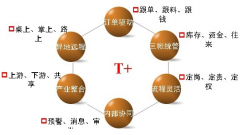 用友t+有沒有什么缺點(diǎn)？
