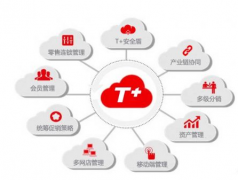 用友t+(U盤版)這個(gè)軟件怎么樣？