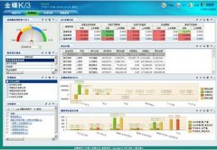 金蝶crm軟件是什么架構(gòu)的？