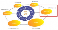 濰坊網(wǎng)站建設(shè)告訴你SEO的六個(gè)步驟